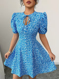 Womens Fashionable Printed Slim-Fit Pleated Dress